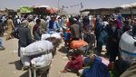 Melihat Hiruk-pikuk Perbatasan Afghanistan-Pakistan Usai Taliban Berkuasa