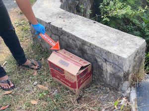 Keji! Bayi Masih Hidup Dibuang dalam Kardus, Mulutnya Diplester
