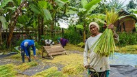 Desa Wisata Tetebatu kerap disebut Ubud-nya Lombok. Lokasinya sejuk karena berada di kaki Gunung Rinjani. Penduduknya juga ramah-ramah. 