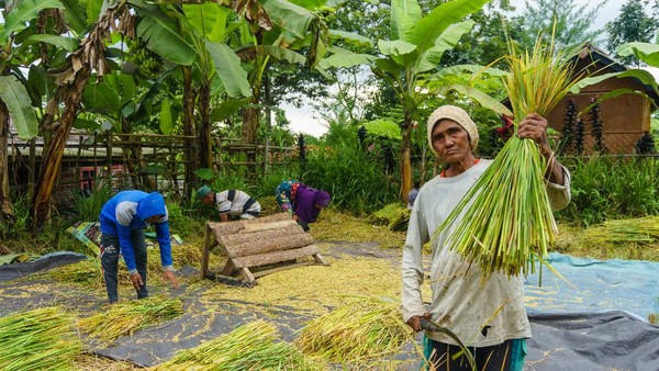 Desa Wisata Tetebatu kerap disebut Ubud-nya Lombok. Lokasinya sejuk karena berada di kaki Gunung Rinjani. Penduduknya juga ramah-ramah. Desa Wisata Tetebatu kerap disebut Ubud-nya Lombok. Lokasinya sejuk karena berada di kaki Gunung Rinjani. Penduduknya juga ramah-ramah.