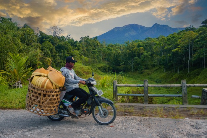 Desa wisata Tetebatu