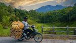 Indahnya Desa Tetebatu, Ubud-nya Lombok Jadi Wakil Indonesia di Ajang Dunia