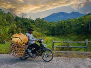 Lihat Lagi Desa Tetebatu Akan jadi Desa Wisata Dunia