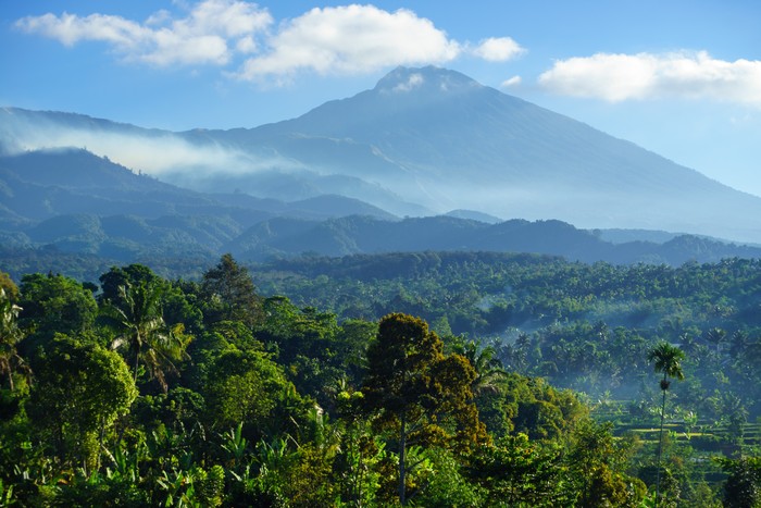 Desa wisata Tetebatu