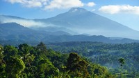 Traveler bahkan bisa melihat indahnya gunung Rinjani dari kejauhan. Buat para pehobi fotografi, desa Tetebatu jadi lokasi favorit buat berburu foto pemandangan alam. 