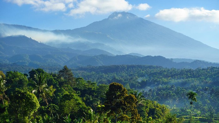Desa wisata Tetebatu