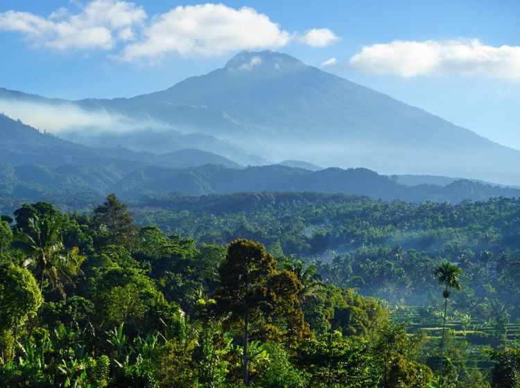Indahnya Desa Tetebatu, Ubud-nya Lombok Jadi Wakil Indonesia di Ajang Dunia