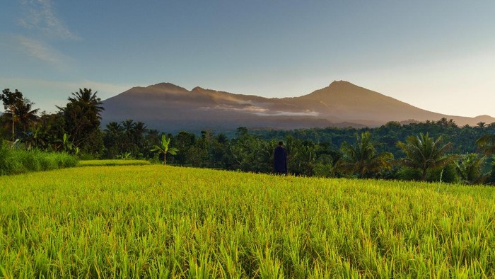 Desa wisata Tetebatu