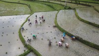 Desa Tetebatu merupakan desa wisata tertua yang ada di Pulau Lombok. Desa ini terkenal karena pemandangannya indah, sejuk dan hijau. Mayoritas penduduknya berprofesi sebagai petani. 