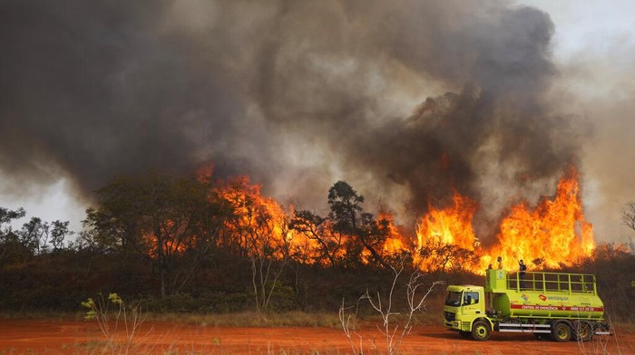 Fire consumes part of the Juquery Park in Franco da Rocha, greater Sao Paulo area, Brazil, Monday, Aug. 23, 2021. According with the Fire Department an illegal paper hot air balloon landed in the area on Sunday, igniting and destroying more than half of the park. (AP Photo/Andre Penner)