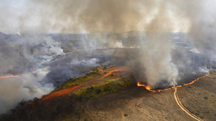 Gegara Balon Udara, Taman di Brasil Terbakar Fire consumes part of the Juquery Park in Franco da Rocha, greater Sao Paulo area, Brazil, Monday, Aug. 23, 2021. According with the Fire Department an illegal paper hot air balloon landed in the area on Sunday, igniting and destroying more than half of the park. (AP Photo/Andre Penner)