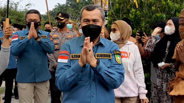 Gubernur Riau, Syamsuar (Raja-detikcom)