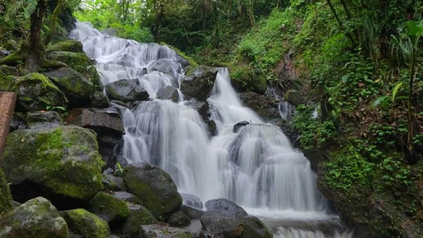 Desa Wisata Alamendah berada di Bandung, Jawa Barat. Keseruan yang ditawarkan di sini yaitu, membuat olahan makanan dan suvenir UMKM, berlatih pencak silat, memerah susu sapi hingga bersepeda keliling kampung. Traveler juga bisa main di Curug Awi Langit. (Jadesta) Desa Wisata Alamendah berada di Bandung, Jawa Barat. Keseruan yang ditawarkan di sini yaitu, membuat olahan makanan dan suvenir UMKM, berlatih pencak silat, memerah susu sapi hingga bersepeda keliling kampung. Traveler juga bisa main di Curug Awi Langit. (Jadesta)