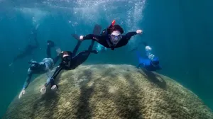 Penampakan Terumbu Karang Raksasa Berusia 400 Tahun di Australia