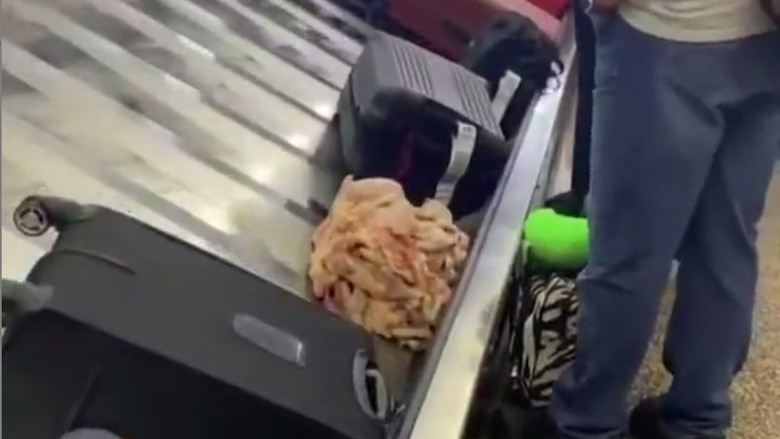 Paket ayam beku di bagasi pesawat