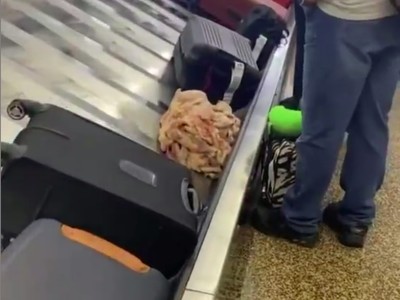 Aneh Bin Ajaib! Ayam Beku Tanpa Pakai Wadah Masuk ke Bagasi Pesawat