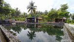 Foto: Pemandian View Sawah untuk Liburanmu