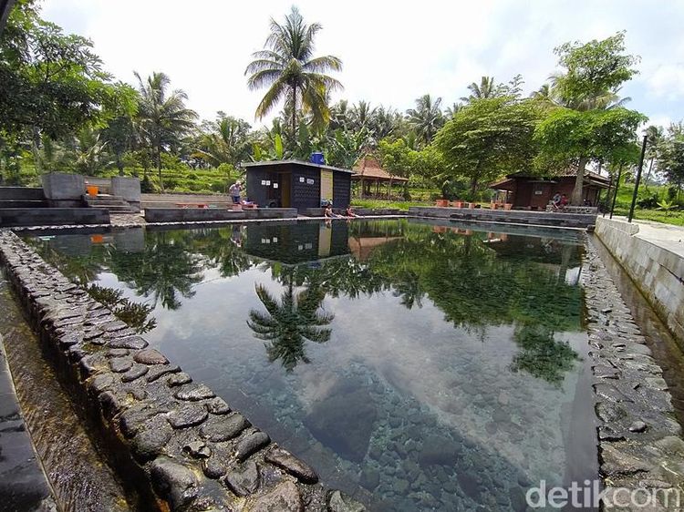 Foto: Pemandian View Sawah untuk Liburanmu