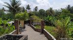 Foto: Pemandian View Sawah untuk Liburanmu