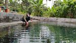 Foto: Pemandian View Sawah untuk Liburanmu