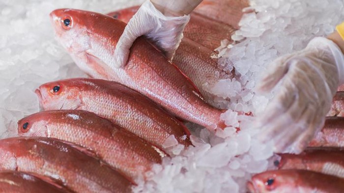Ini Alasan Mengapa Bangkai Ikan Halal Dikonsumsi