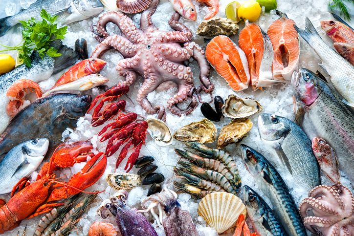 Ini Alasan Mengapa Bangkai Ikan Halal Dikonsumsi
