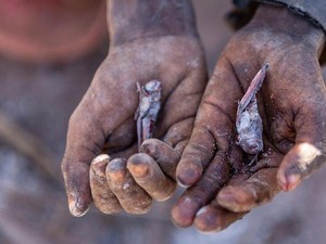 Wabah Kelaparan di Madagaskar, Warga Cuma Makan Daun Kaktus-Serangga