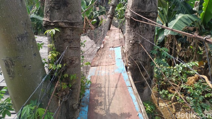 Jembatan gantung di Srengseng Sawah, Jakarta Selatan, 25 Agustus 2021. (Athika Rahma/detikcom)