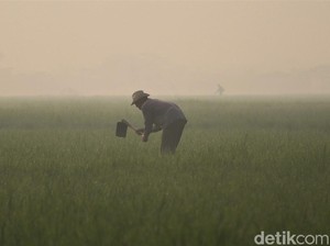 Prakiraan Cuaca Bandung Hari Ini, 24 Agustus 2025: Sejuk dan Basah