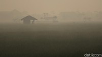 Selain membersihkan rumput liar, ada juga yang memperbaiki saluran airnya agar air lancar mengalir.