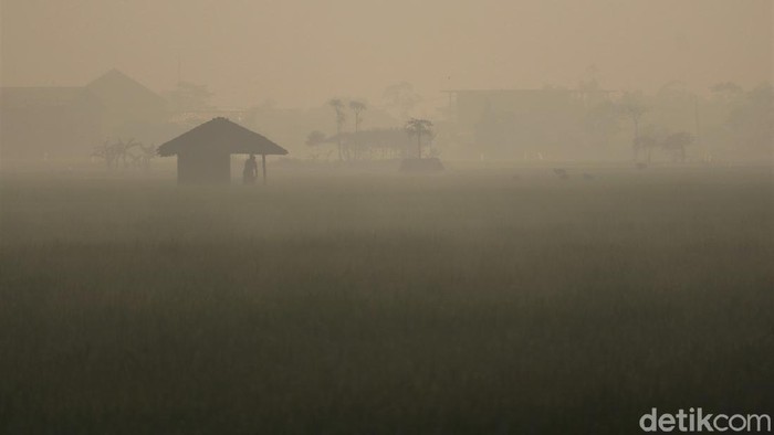 Area persawahan di Kabupaten Bandung tampak diselimuti kabut pada pagi hari. Meski begitu, kabut tak halangi para petani untuk tetap bekerja di sawah.