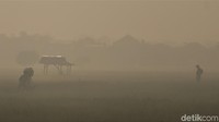 Begini penampakan area persawahan di wilayah Kecamatan Solokanjeruk, Kabupaten Bandung yang diselimuti kabut di pagi hari, Rabu (25/8/2021).