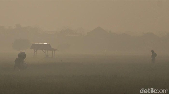 Pemandangan Area Sawah di Bandung yang Diselimuti Kabut Area persawahan di Kabupaten Bandung tampak diselimuti kabut pada pagi hari. Meski begitu, kabut tak halangi para petani untuk tetap bekerja di sawah.