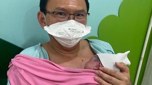 Potret Bahagia Ahok Gendong Sarah Eliana Purnama