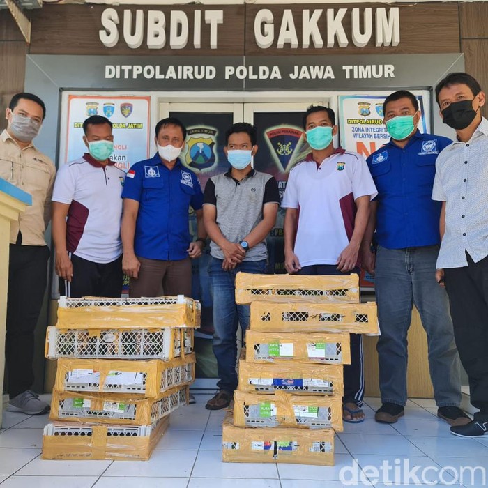 Dirpolairud Polda Jatim Kombes Arnapi memaparkan, untuk mengelabui petugas, pelaku menaruh burung yang dilindungi bersamaan dengan rongsokan besi tua. Pelaku bernama Muchammad Kurniawan (23), warga Kramat II, Ganting, Gedangan, Sidoarjo.