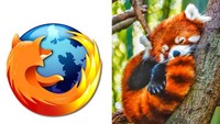 Tahukah kamu jika logo peramban Mozilla Firefox ini bukan rumah. Melainkan panda merah. Firefox dalam bahasa Inggris dari dama China merupakan panda merah. Mozilla ingin menunjukkan jika panda merah ini sangat langka dan terancam punah. Pada 2010, Mozilla mengadopsi 2 panda merah dan bertanggung jawab atas hidup mereka.Foto: Dok.© Mozilla Firefox/© pikabu/Brightside