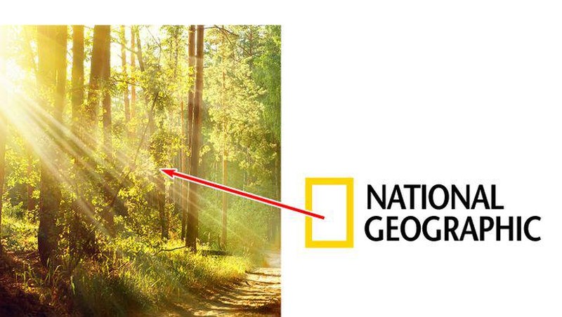 Logo National Geographic