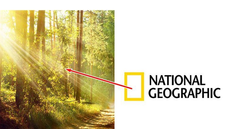 Logo National Geographic Logo National Geographic