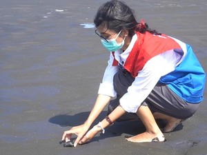 Pertamina Lepasliarkan 206 Anak Penyu Lekang di Pantai Sodong Cilacap