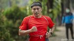 Petang di Lapangan Banteng