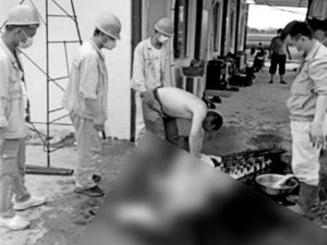 Viral Buaya Dibunuh-Dikuliti WNA di Konawe, BKSDA Turun Tangan