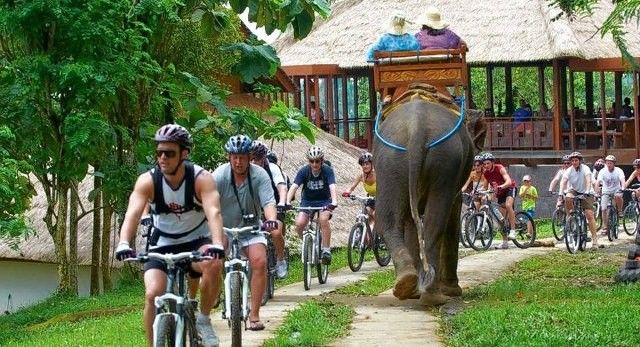 Desa Wisata Carangsari