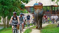 Desa Wisata Carangsari memiliki hastag Carangsari The Historical Village yang menunjukan bahwa desa ini kental dengan nuansa sejarahnya. Industri pariwisatanya di antaranya Mega Rafting, Bahama, My Adventure Rafting, Angkasa dan Alam Tirta Outbound yang menawarkan wisata arung jeram, paintball, outbound dan bersepeda. (dok Desa Wisata Carangsari)