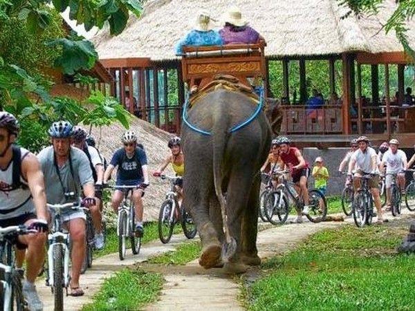 Desa Wisata Carangsari memiliki hastag Carangsari The Historical Village yang menunjukan bahwa desa ini kental dengan nuansa sejarahnya. Industri pariwisatanya di antaranya Mega Rafting, Bahama, My Adventure Rafting, Angkasa dan Alam Tirta Outbound yang menawarkan wisata arung jeram, paintball, outbound dan bersepeda. (dok Desa Wisata Carangsari) Desa Wisata Carangsari memiliki hastag Carangsari The Historical Village yang menunjukan bahwa desa ini kental dengan nuansa sejarahnya. Industri pariwisatanya di antaranya Mega Rafting, Bahama, My Adventure Rafting, Angkasa dan Alam Tirta Outbound yang menawarkan wisata arung jeram, paintball, outbound dan bersepeda. (dok Desa Wisata Carangsari)