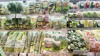 Di sebelah rak buah, ada sayuran-sayuran organik yang segar. Kamu bisa menemukan daun parsley, kale, bayam Jepang (horenzo), Romaine lettuce, sampai selada lollo rossa di sini.