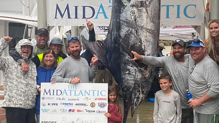 Lomba Mancing, Pria Ini Tangkap Ikan Marlin Biru Seberat 500 Kg