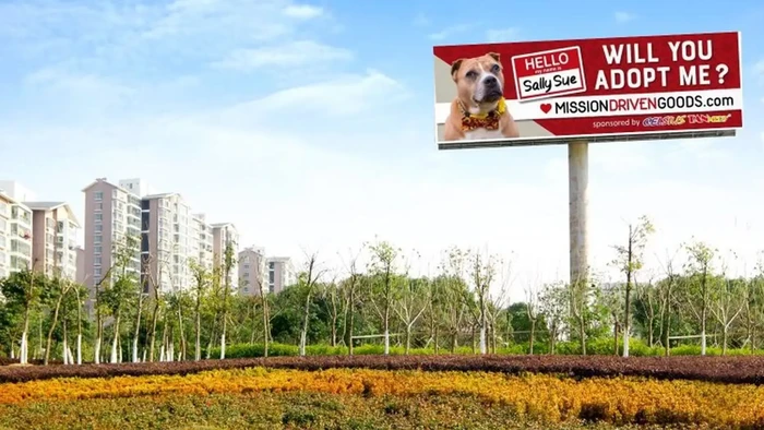 papan iklan anjing