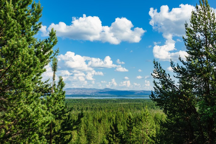 View to the riverJakobselva in Norway.