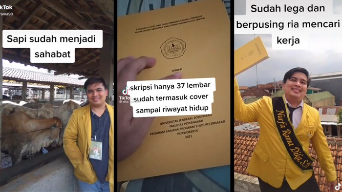 Tangkapan layar pos TikTok viral @dika_rama98. Dika, mahasiswa S1 Peternakan Unsoed lulus dengan skripsi 37 halaman 