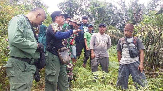Tim BKSDA berupaya mengembalikan gajah ke kawanannya
